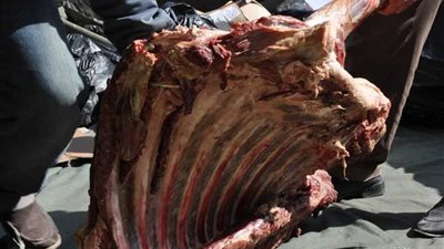 تحرير 2193 محضرًا وضبط لحوم غير صالحة خلال حملات تموينية بأسيوط..(صور)