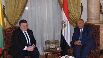 سامح شكري يعقد جلسة مباحثات مع نظيره الليتواني