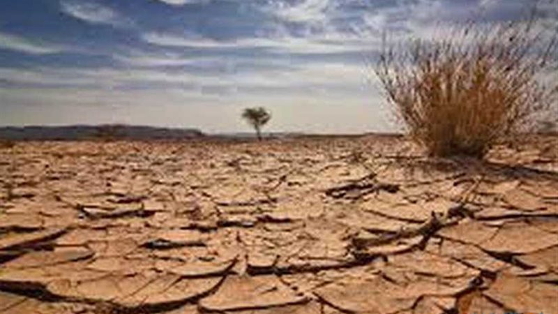 الحرب العالمية بدأت..