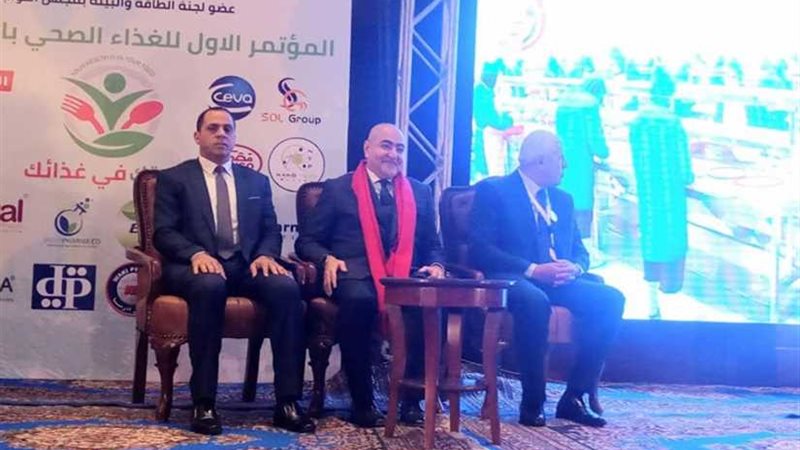 رئيس جامعة دمنهور