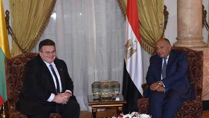 سامح شكري يعقد جلسة