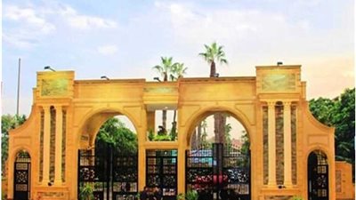 ربة منزل تناشد رئيس جامعة المنصورة لإجراء جراحة عاجلة لزوجها