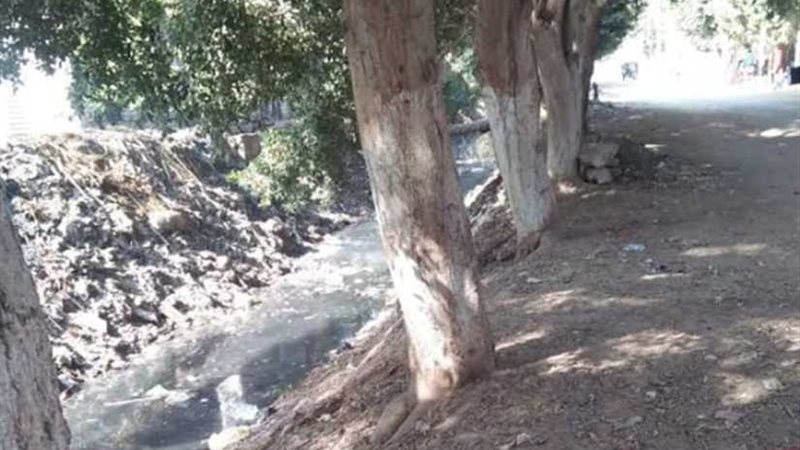 محافظ المنيا يوجه