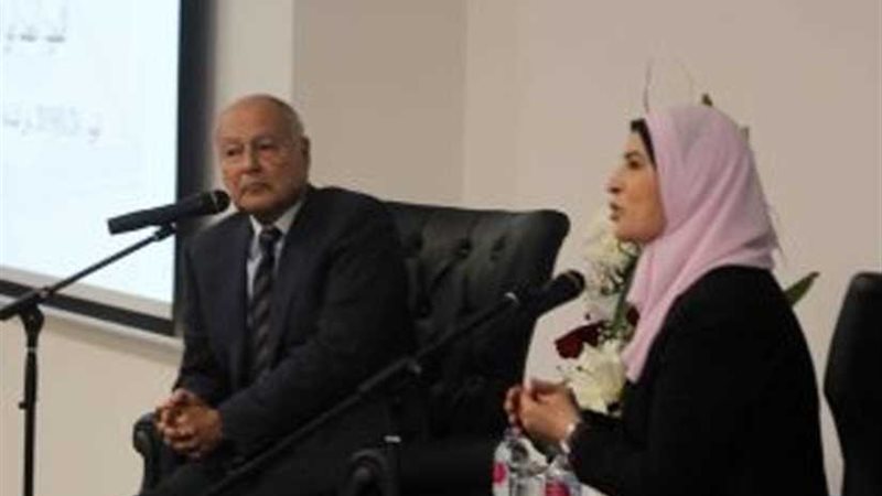 أبو الغيط : السياسة