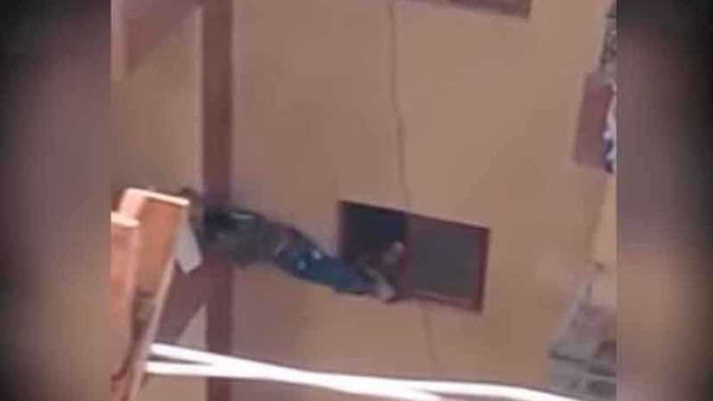 التحقيق مع السيدة