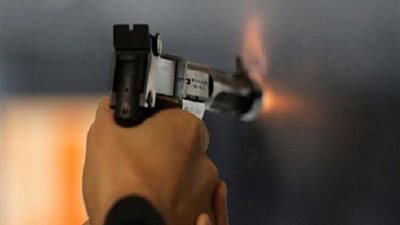 إصابة عامل في مشاجرة بسبب كلب بطوخ