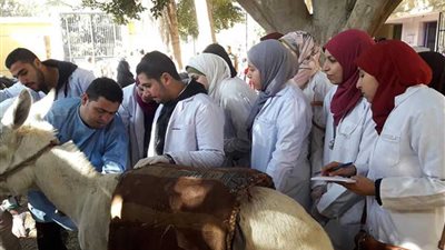 قافلة بيطرية لقرية أجهور الكبرى بطوخ