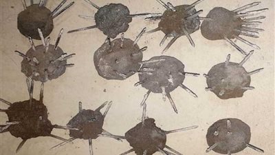 الداخلية : إحباط مخطط لإحداث فوضى خلال شهرى يناير وفبراير ..صور