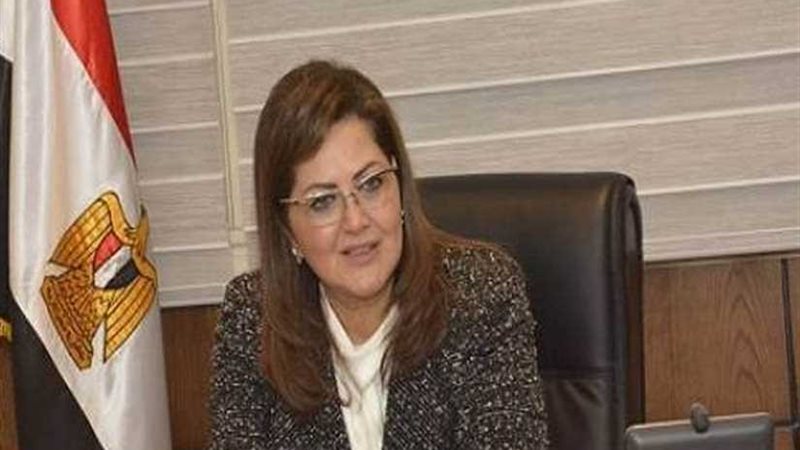 وزيرة التخطيط: رقمنة