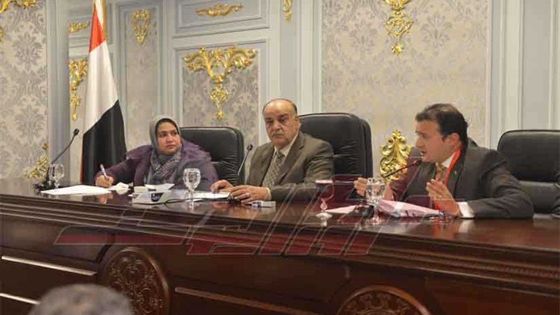 الشئون العربية بالنواب