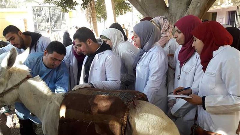 قافلة بيطرية لقرية