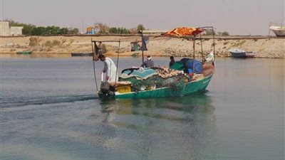 أسوان ..غلق بحيرة ناصر أمام كافة أنشطة الصيد 15 مارس القادم