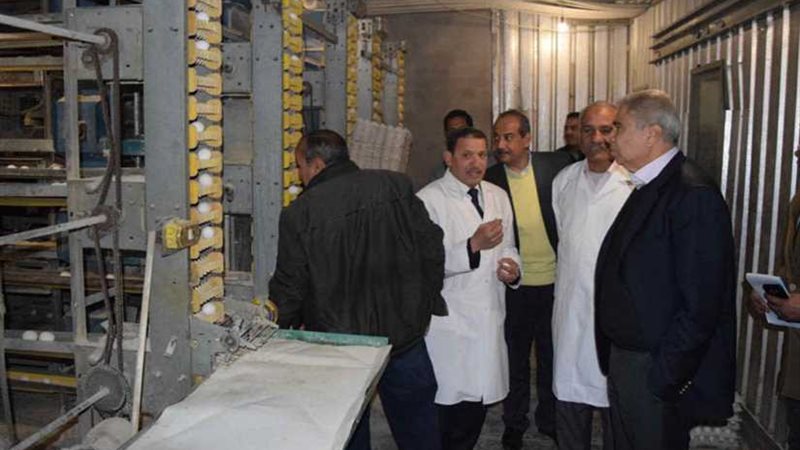 محافظ المنيا يتفقد