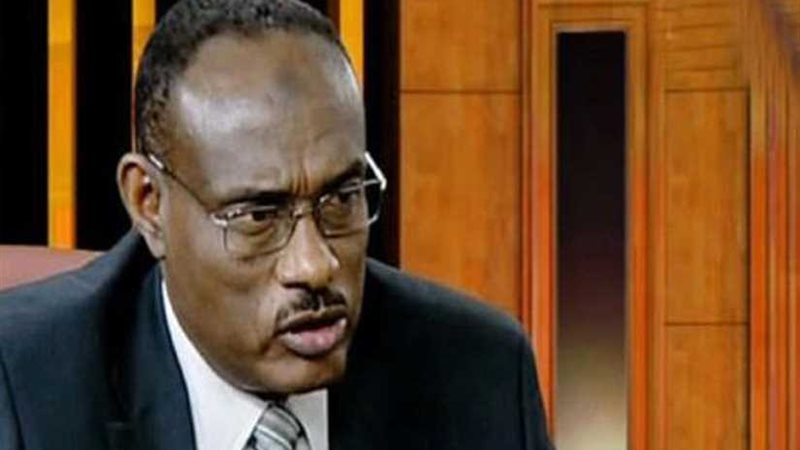 وزير الخارجية السوداني