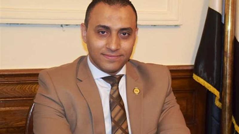 سعد بدير: الوفد هو