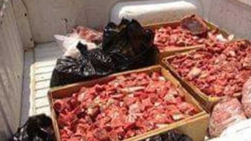 بيطري المنيا يعدم