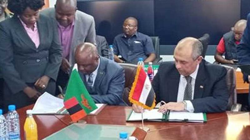 نشرة 24 .. مصر وزامبيا