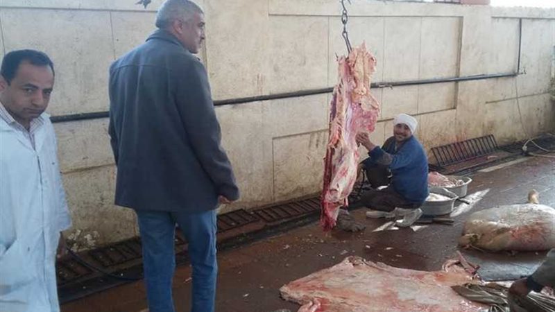 صاحب مزرعة عجول بصدفا