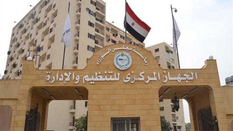 التنظيم والإدارة: