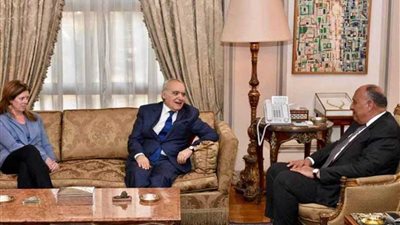 شكري يؤكد موقف مصر من الأزمة الليبية المبني على الدفع بالحل السياسي