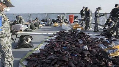 أستراليا تصادر أطنان من المخدرات