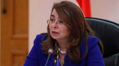 والي: الاستثمار في الدعم النقدي بمصر زاد 235%