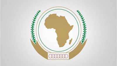 التراث الموريتاني: رئاسة مصر للاتحاد الإفريقي ستشكل نقلة نوعية