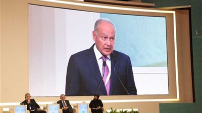 أبو الغيط: مؤتمر الأخوة الإنسانية يعقد في الوقت والمكان المناسبين