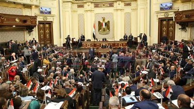 رئيس البرلمان يحيل للجنة العامة طلبا لتعديل الدستور