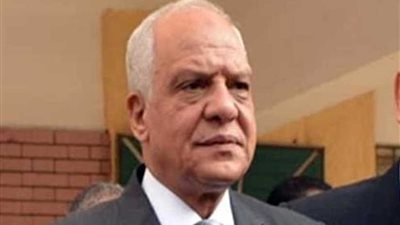 محافظ الجيزة يكرم عددا من المتميزين.. غداً