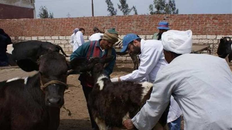 انطلاق حملة تحصين