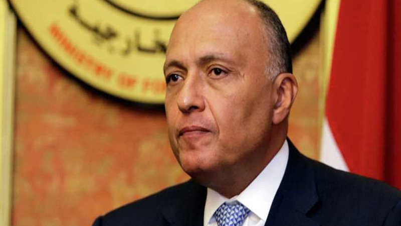 شكري يتوجّه غداً