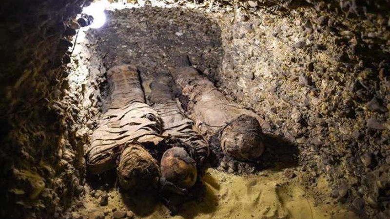 العثور على 12طفلاً