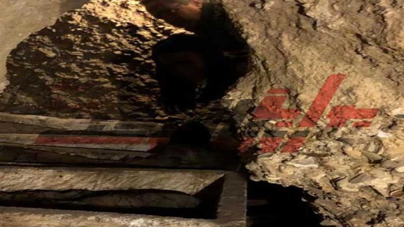 بالصور..الاكتشاف