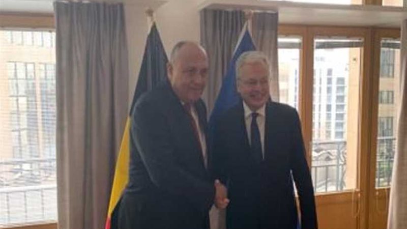 وزير الخارجية يبحث