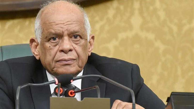 عبدالعال: جلسات التعديلات