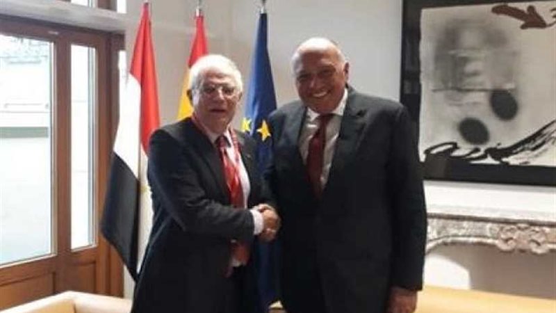 شكري يلتقي نظيره