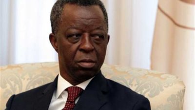 رئيس البرلمان الإفريقي: السيسي يحظى بتقدير القادة الأفارقة