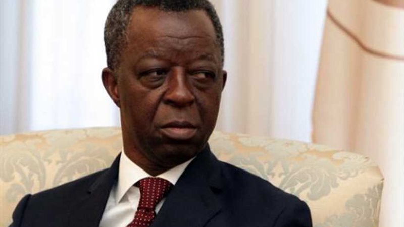 رئيس البرلمان الإفريقي: