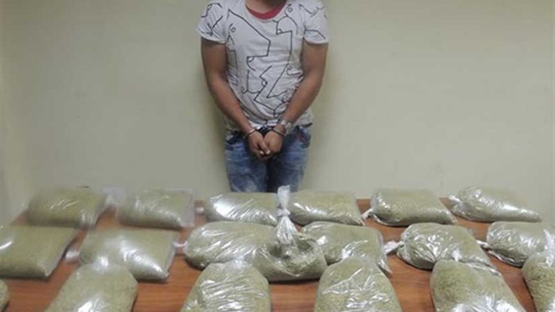 تاجرا الفودو سقطا