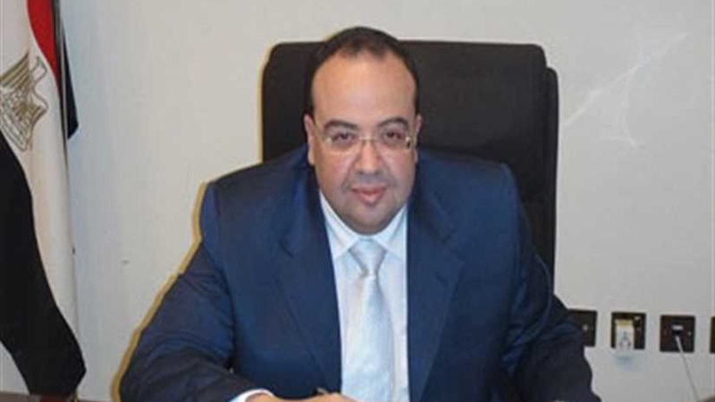 السفير المصري في