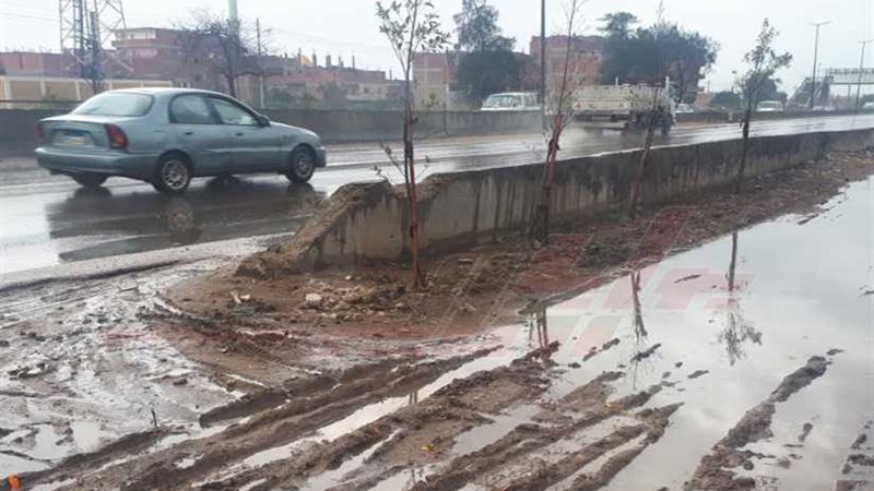 أمطار غزيرة بالقليوبية..