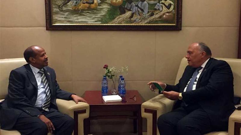 وزير الخارجية يبحث