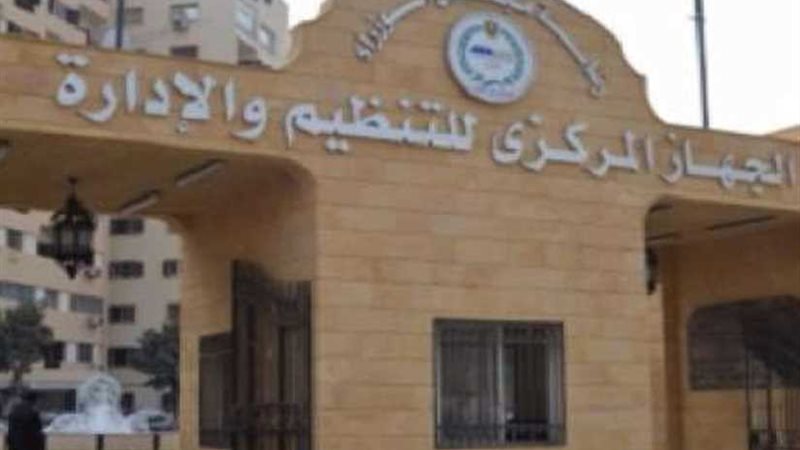 التنظيم والإدارة