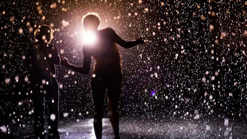 عروض راقصة في الغرفة