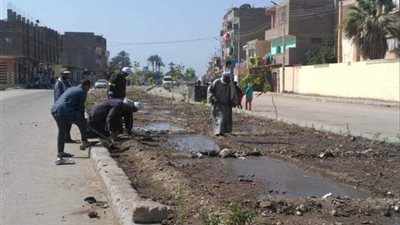 بدء أعمال تشجير منطقة حي المطار بالأقصر‬