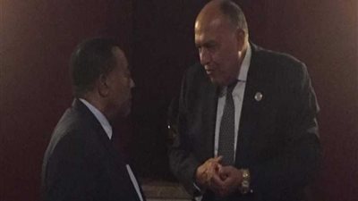 وزير الخارجية يبحث مع نظيره التنزاني مشروعات التعاون المشترك بين البلدين