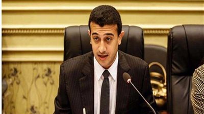 وفد برلماني يلتقي الجالية المصرية بألمانيا