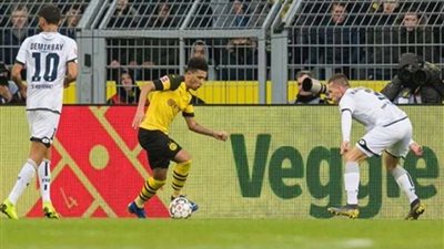 هوفنهايم يتعادل مع بوروسيا دورتموند في الدوري الألماني