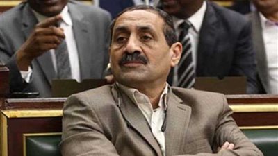 النائب تادرس قلدس: تولي مصر رئاسة الاتحاد الإفريقي عهد جديد للعلاقات المصرية الإفريقية